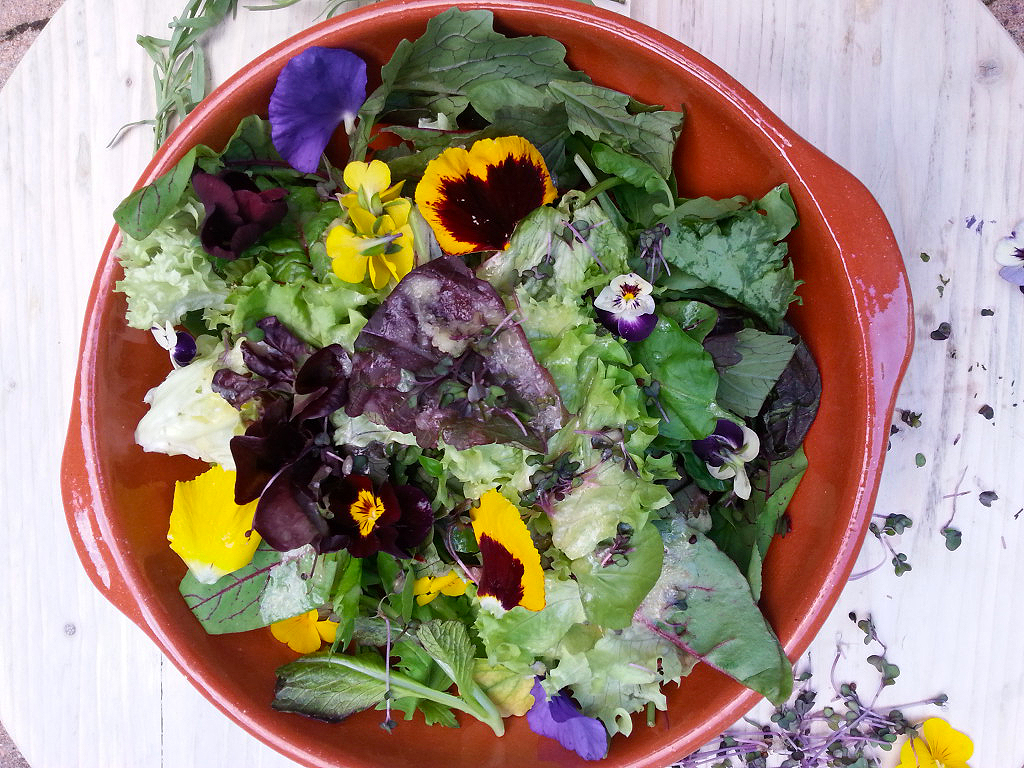 Salade met bloemen en kruiden uit de Gouden Eeuw